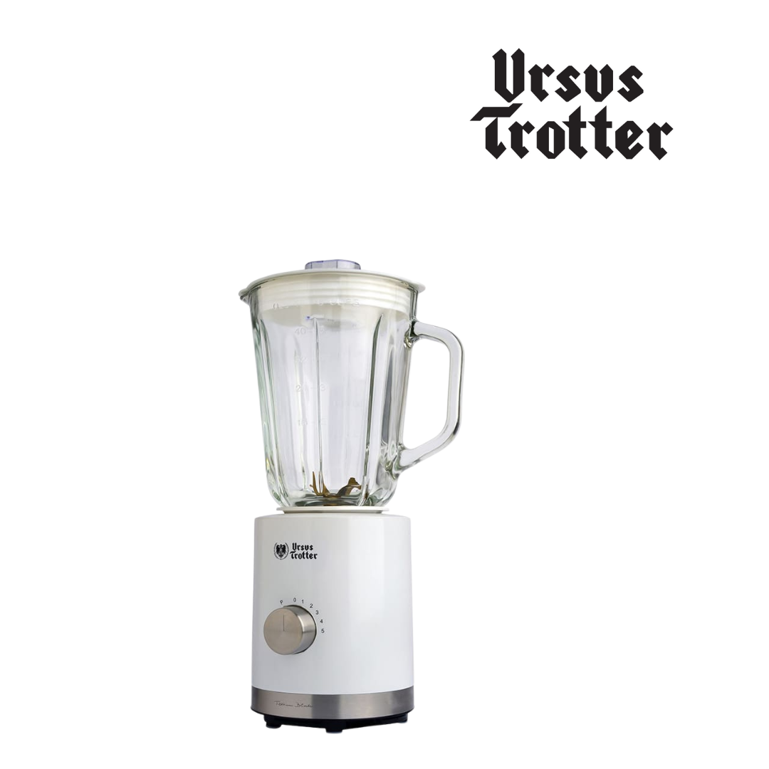 Licuadora 600W Jarra De Vidrio Cuchilla de Titanio